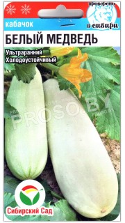 Кабачок Белый медведь