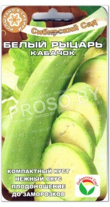 Кабачок Белый рыцарь
