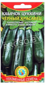 Кабачок Черный красавец