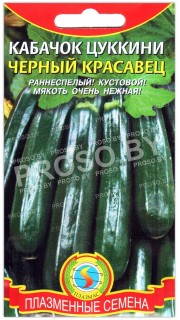 Кабачок Черный красавец