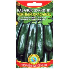 Кабачок Черный красавец