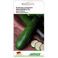 Кабачок цуккини Модена F1