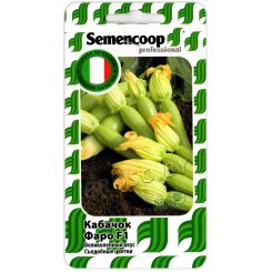 Кабачок Фаро F1