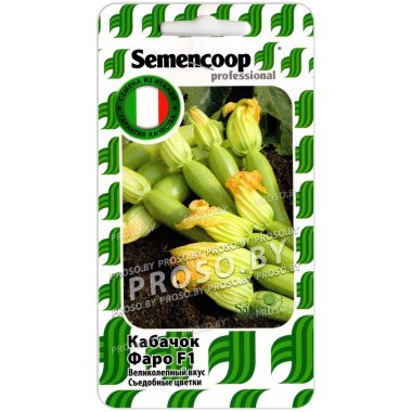 Кабачок Фаро F1