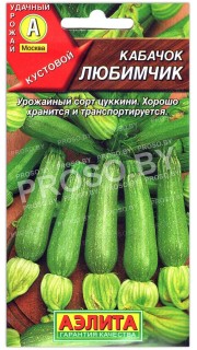 Кабачок Любимчик