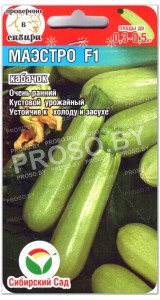 Кабачок Маэстро F1