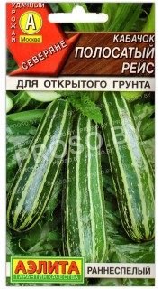 Кабачок Полосатый рейс