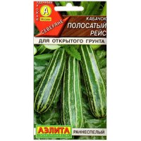 Кабачок Полосатый рейс