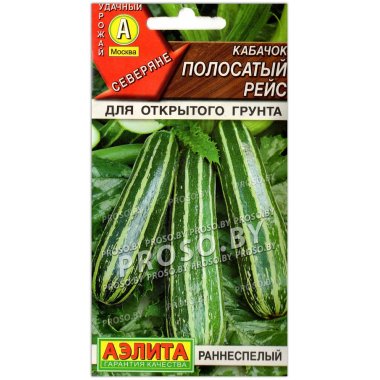 Кабачок Полосатый рейс