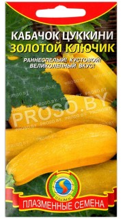 Кабачок Золотой ключик