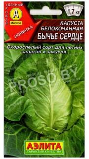 Капуста белокочанная Бычье сердце