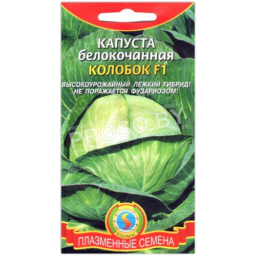 Капуста белокочанная Колобок F1