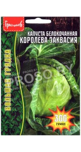 Капуста белокочанная Королева заквасия
