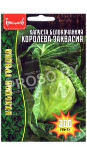 Капуста белокочанная Королева заквасия
