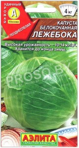 Капуста белокочанная Лежебока