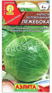 Капуста белокочанная Лежебока