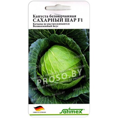 Капуста белокочанная Сахарный шар F1