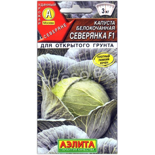 Капуста белокочанная Северянка F1