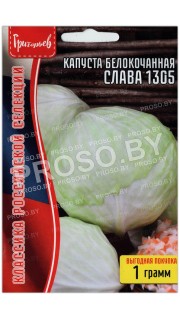 Капуста белокочанная Слава 1305