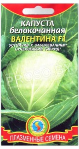 Капуста белокочанная Валентина F1