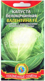 Капуста белокочанная Валентина F1