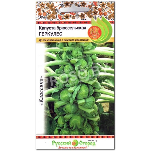 Капуста брюссельская Геркулес