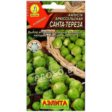 Капуста брюссельская Санта Тереза