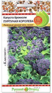 Капуста брокколи Пурпурная королева