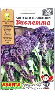 Капуста брокколи Виолетта
