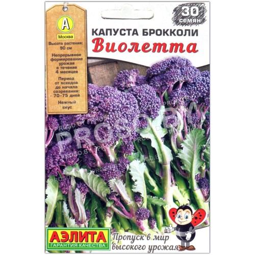 Капуста брокколи Виолетта