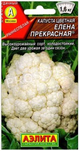 Капуста цветная Елена прекрасная