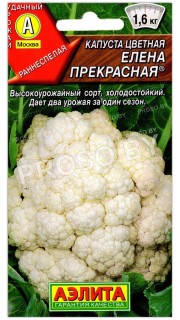 Капуста цветная Елена прекрасная