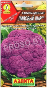 Капуста цветная Лиловый шар