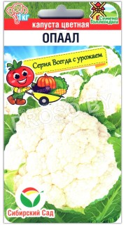 Капуста цветная Опаал