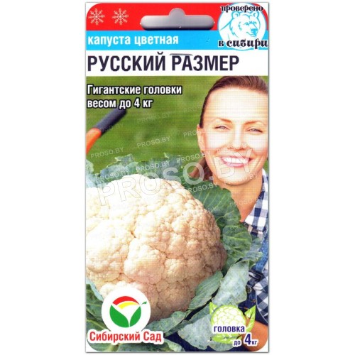 Капуста цветная Русский размер-1