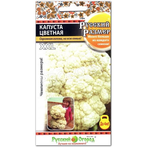 Капуста цветная Русский размер