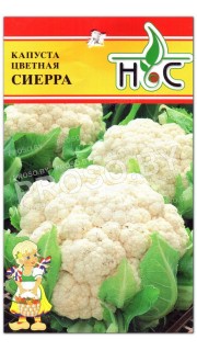 Капуста цветная Сиерра