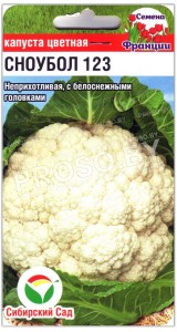 Капуста цветная Сноубол 123
