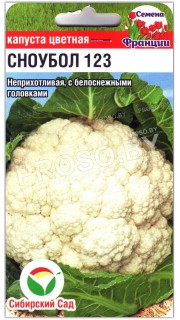 Капуста цветная Сноубол 123