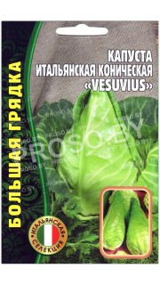 Капуста итальянская коническая Vesuvius