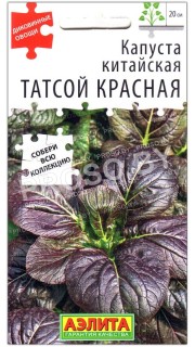 Капуста китайская Татсой красная