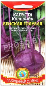 Капуста кольраби Венская голубая