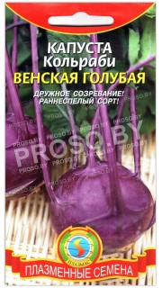 Капуста кольраби Венская голубая