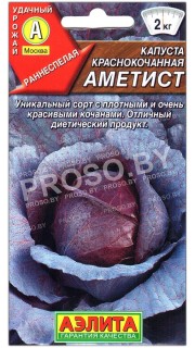 Капуста краснокочанная Аметист