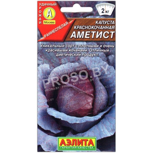 Капуста краснокочанная Аметист