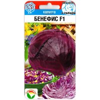 Капуста краснокочанная Бенефис F1