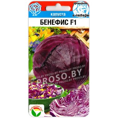 Капуста краснокочанная Бенефис F1