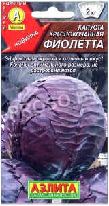 Капуста краснокочанная Фиолетта