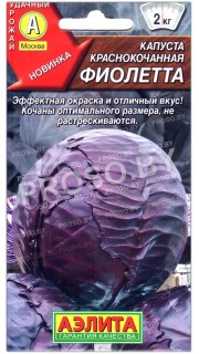 Капуста краснокочанная Фиолетта