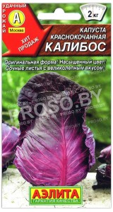 Капуста краснокочанная Калибос